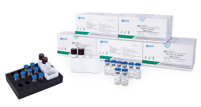 Réactifs TORCH RV IgM pour analyseur immunologique automatique dans les échantillons de sérum humain