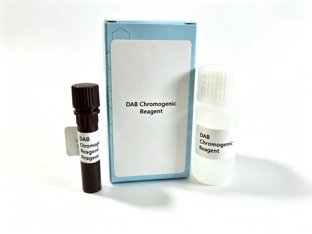 Réactif chromogénique DAB