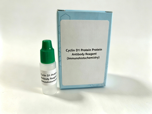 Réactif protéique cycline D1 ProtéineAnticorps (immunohistochimie)