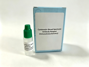 Cytokératine (large spectre)Réactif anticorps (immunohistochimie)